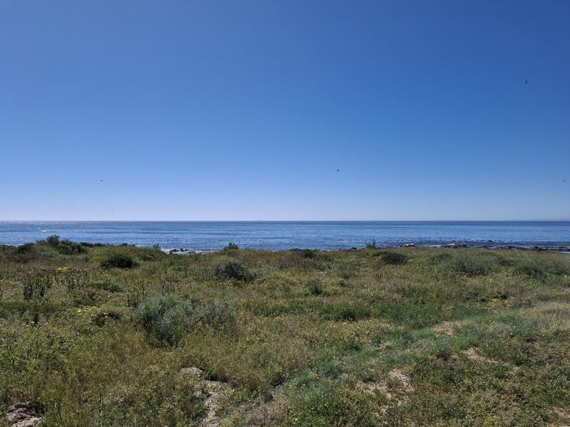 0 Bedroom Property for Sale in Sandy Point Western Cape